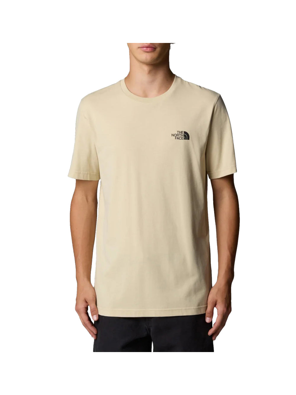 THE NORTH FACE The North Face T-Shirt Uomo Beige Beige