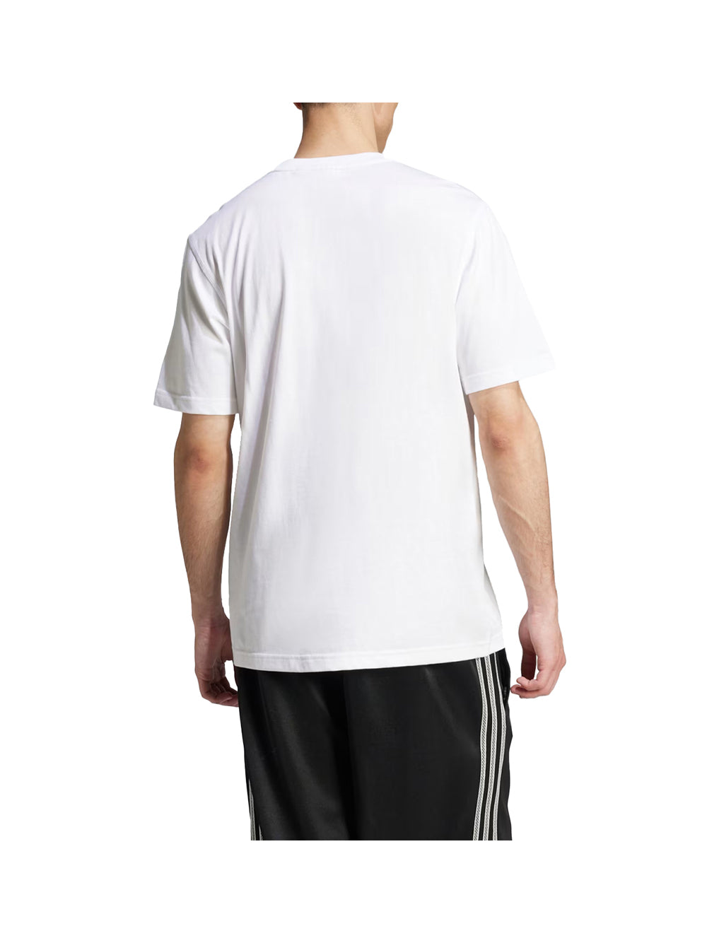 ADIDAS Adidas Trefoil Ess Tee T-Shirt Uomo Bianco Bianco