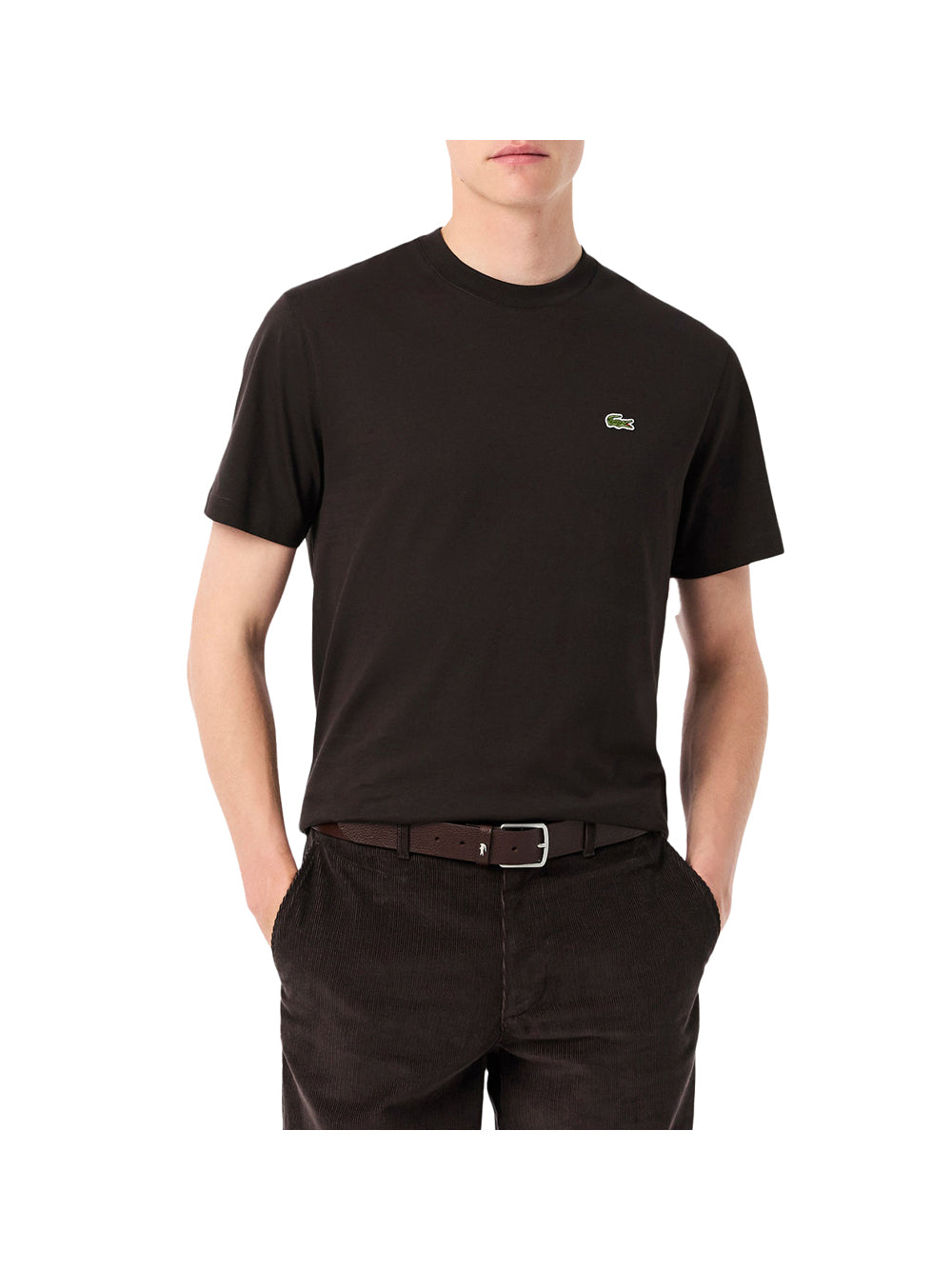 LACOSTE Lacoste T-shirt in cotone Marrone Marrone