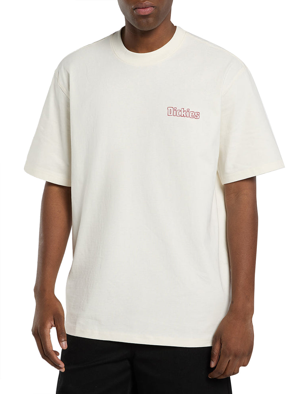 DICKIES T-Shirt Fairlawn Dickies - Beige/Bianco Beige