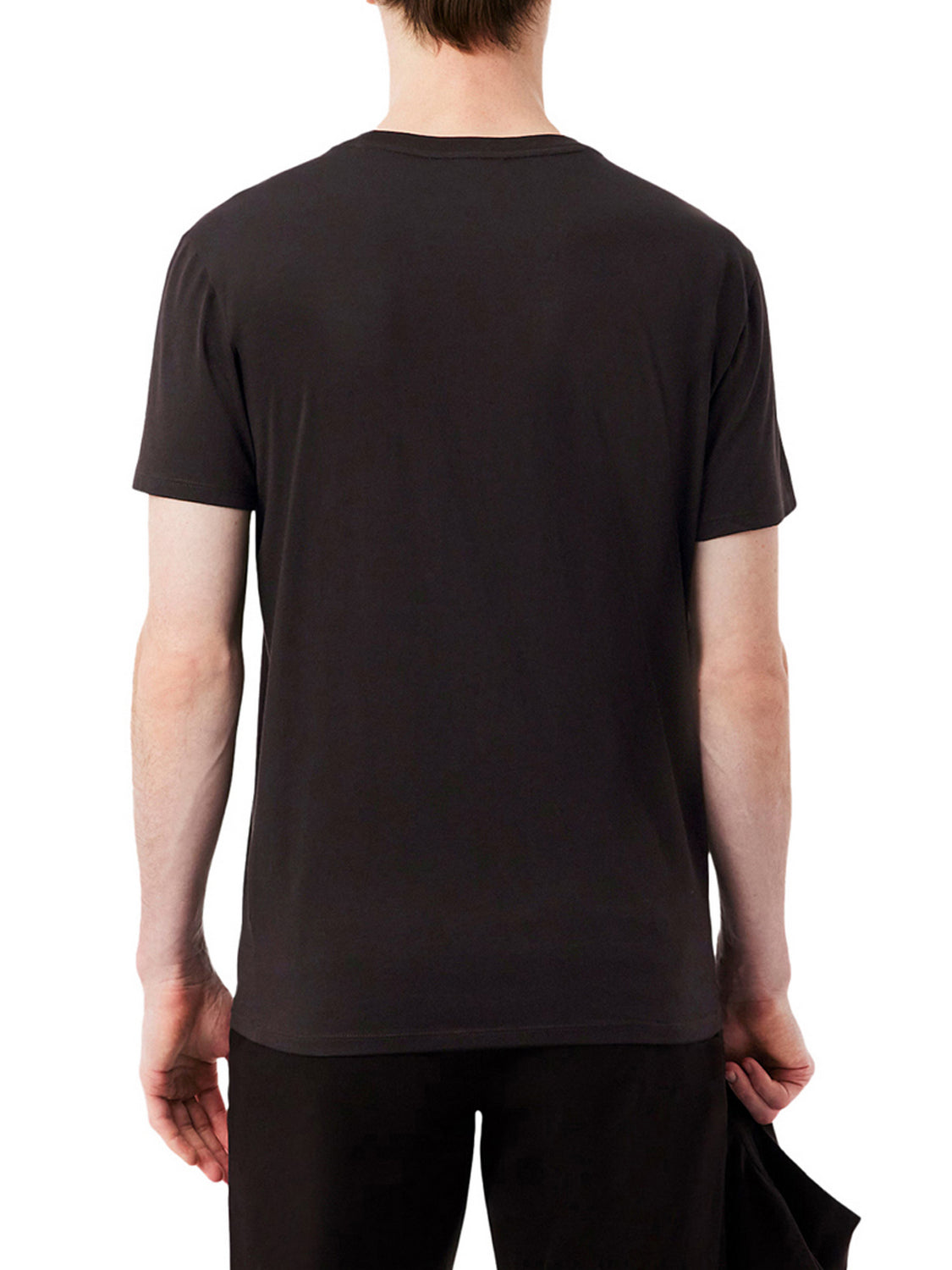 LACOSTE T-shirt Lacoste In Cotone Pima - Marrone Marrone