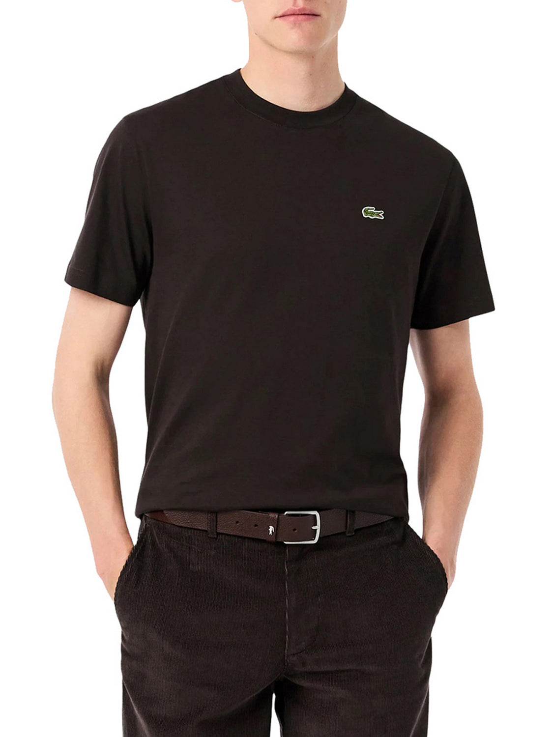 LACOSTE T-Shirt Lacoste In Cotone - Marrone Marrone