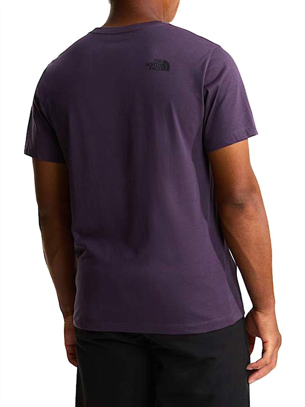 THE NORTH FACE T-Shirt Evolution Box Half Dome Regular The North Face - Viola Viola