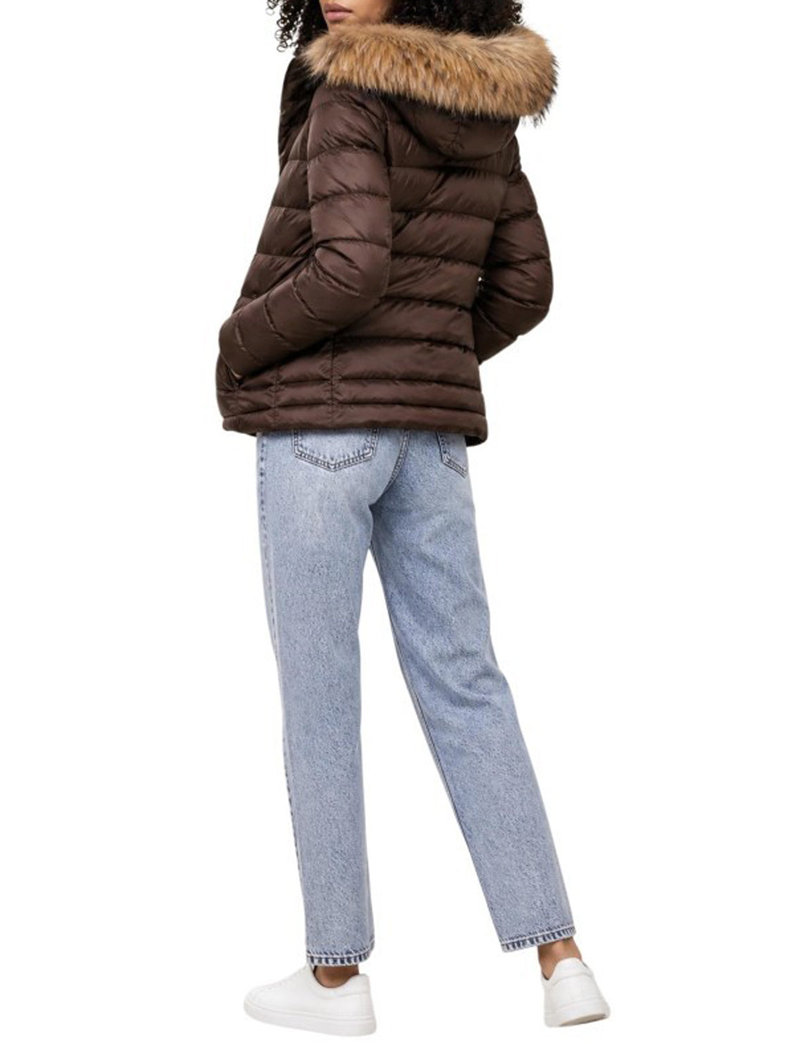 BLAUER Blauer Piumino Corto Arcadia - Brown Beige Brown/Beige