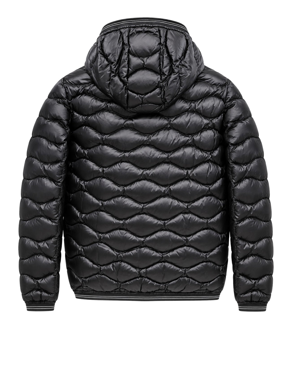 BLAUER Piumino Lowell Junior Blauer - Nero/Marrone Nero/marrone