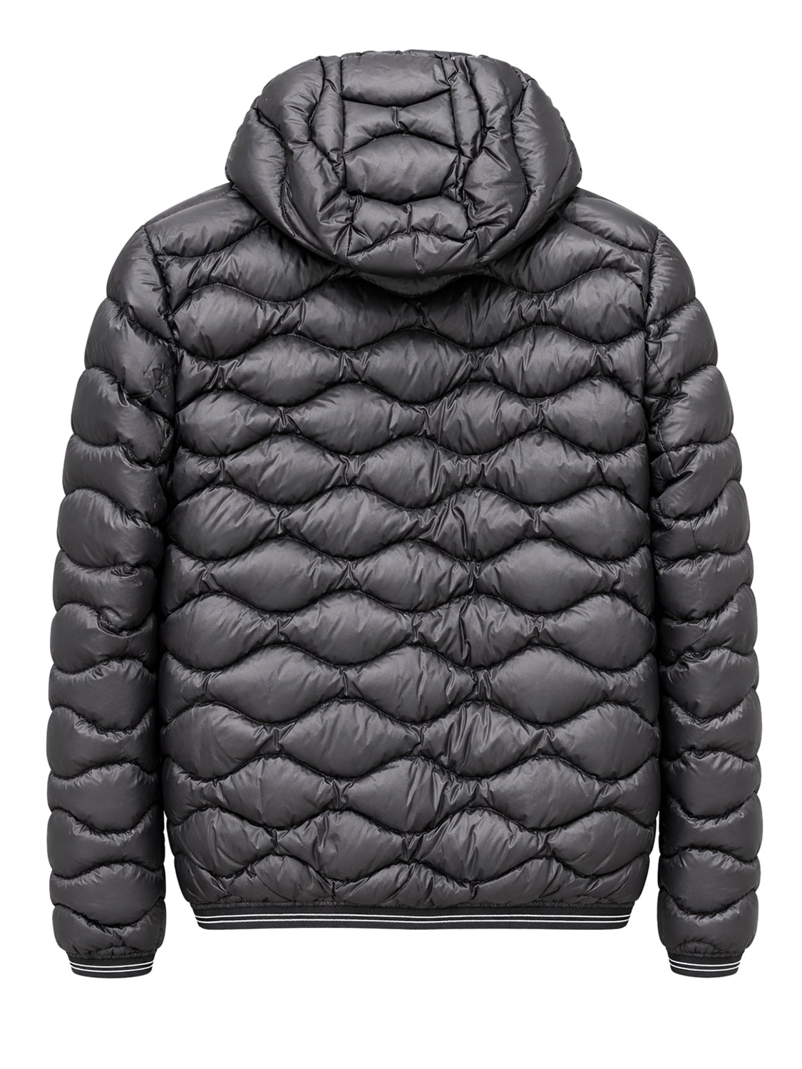 BLAUER Piumino Blauer Brinton Junior - Nero/Oliva Nero Int. Oliva Scuro