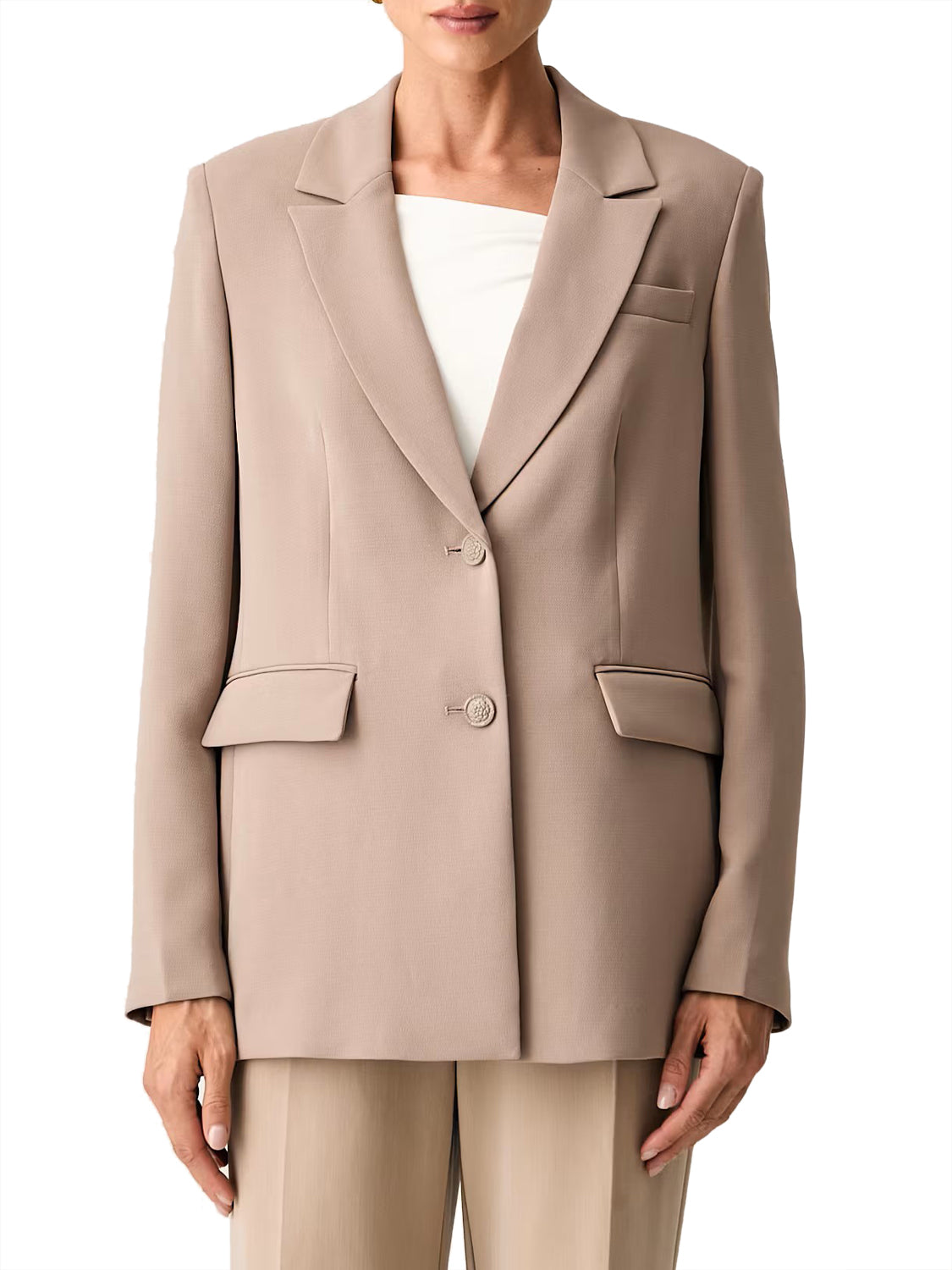 GUESS 1 USCITA Guess Blazer Theoline Perfect - Taupe Silk taupe