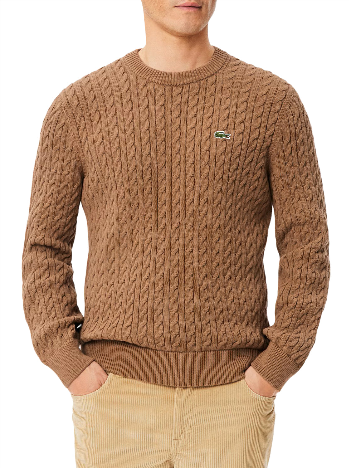 LACOSTE Lacoste Maglione Logo Iconico Frontale Marrone Chiaro Marrone chiaro