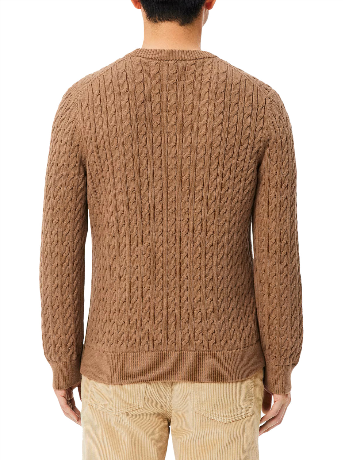 LACOSTE Lacoste Maglione Logo Iconico Frontale Marrone Chiaro Marrone chiaro