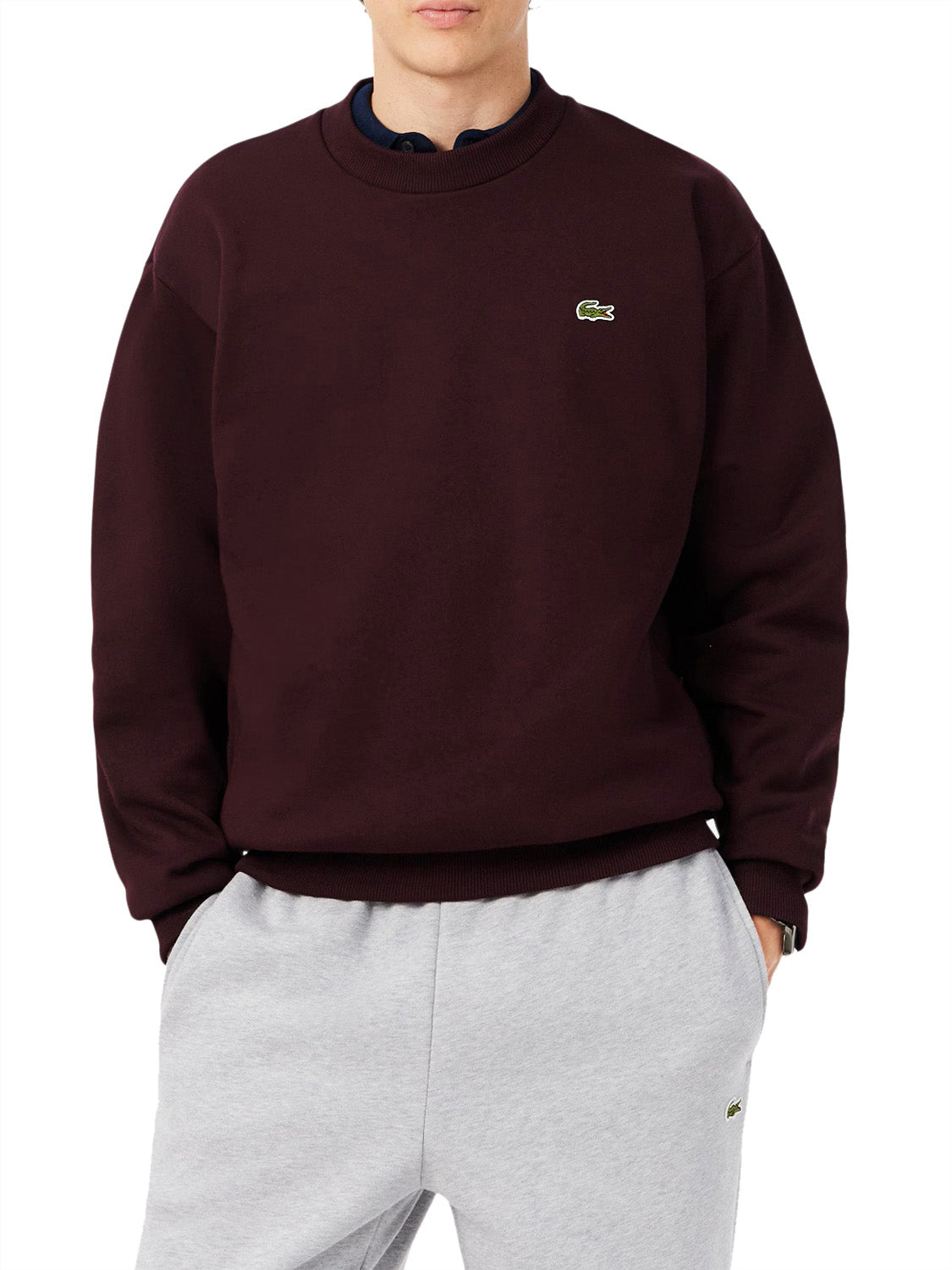 LACOSTE Lacoste Felpa Logo Iconico Marrone Marrone