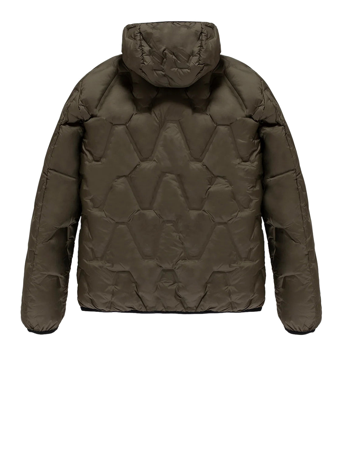 REFRIGIWEAR Giubbotto Graphite Refrigwear Verde Sea turtle