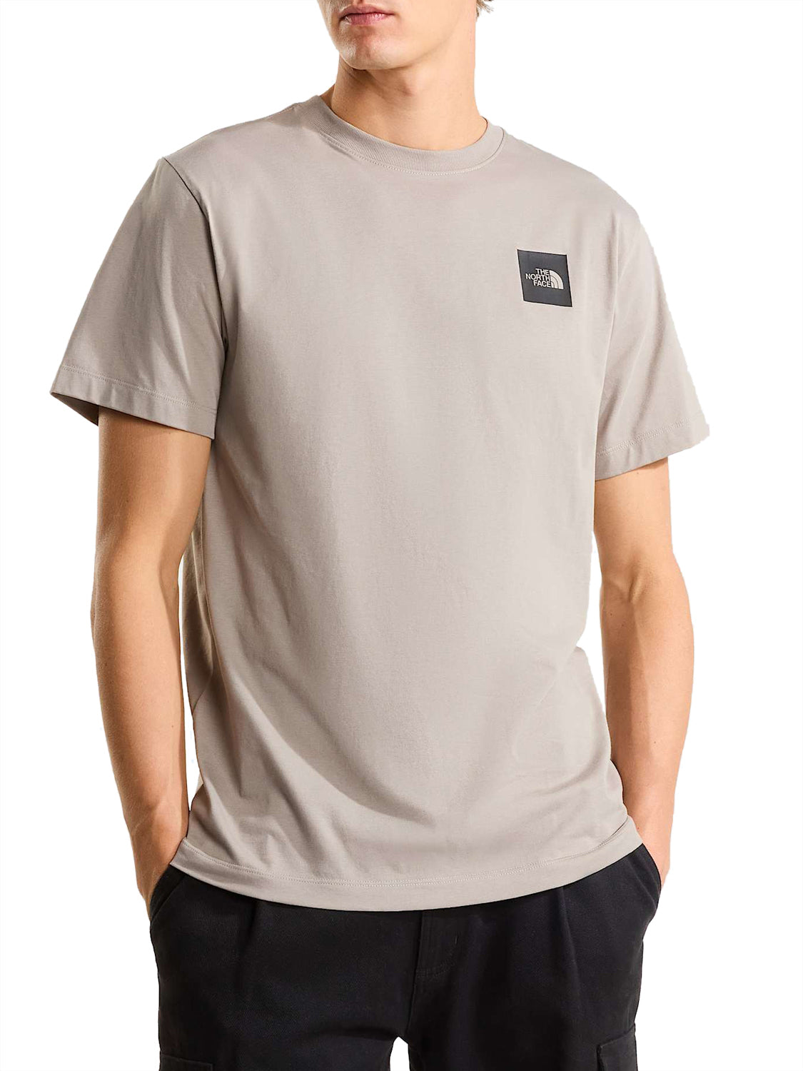 THE NORTH FACE T-Shirt Evolution Box Half Dome Regular - Grigio STONE