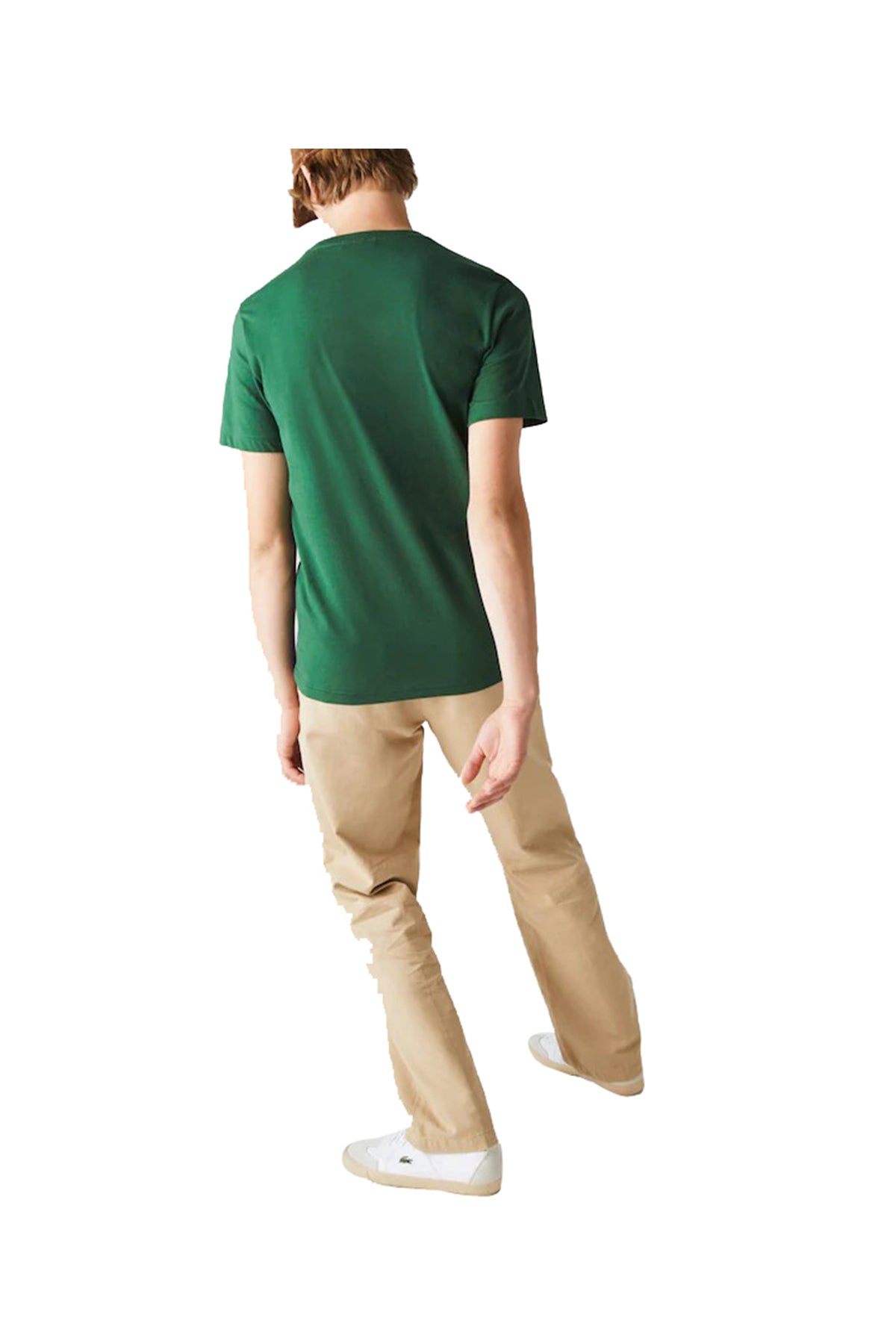 LACOSTE T-Shirt Con Logo Verde Verde