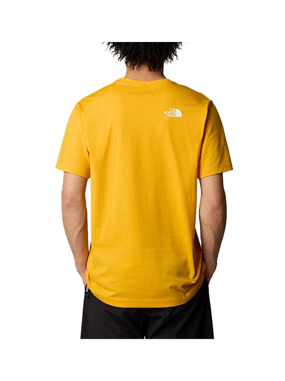 THE NORTH FACE The North Face T-Shirt Uomo Giallo Giallo
