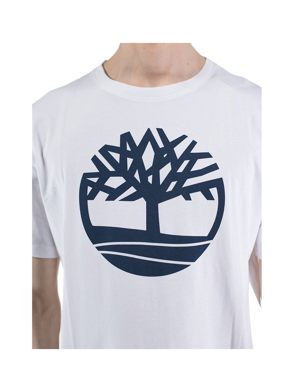 TIMBERLAND Timberland T-Shirt Uomo White - Bianco Bianco