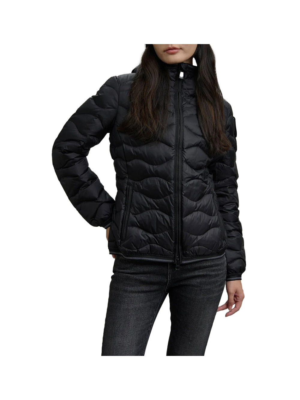 BLAUER Piumino Blauer Ad Onde Camelia Nero Beige Nero/beige