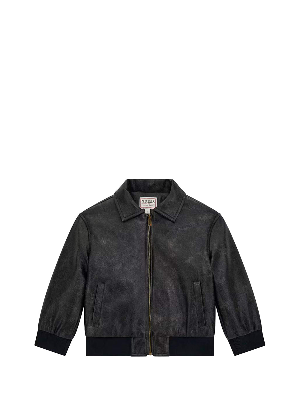 GUESS 1 USCITA Guess Giubbotto - Nero Nero