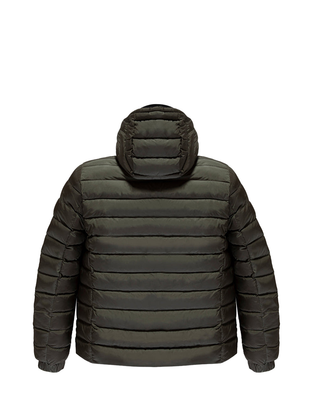 REFRIGIWEAR STC Giubbotto Refrigiwear Hunter Sea Turtle Sea turtle