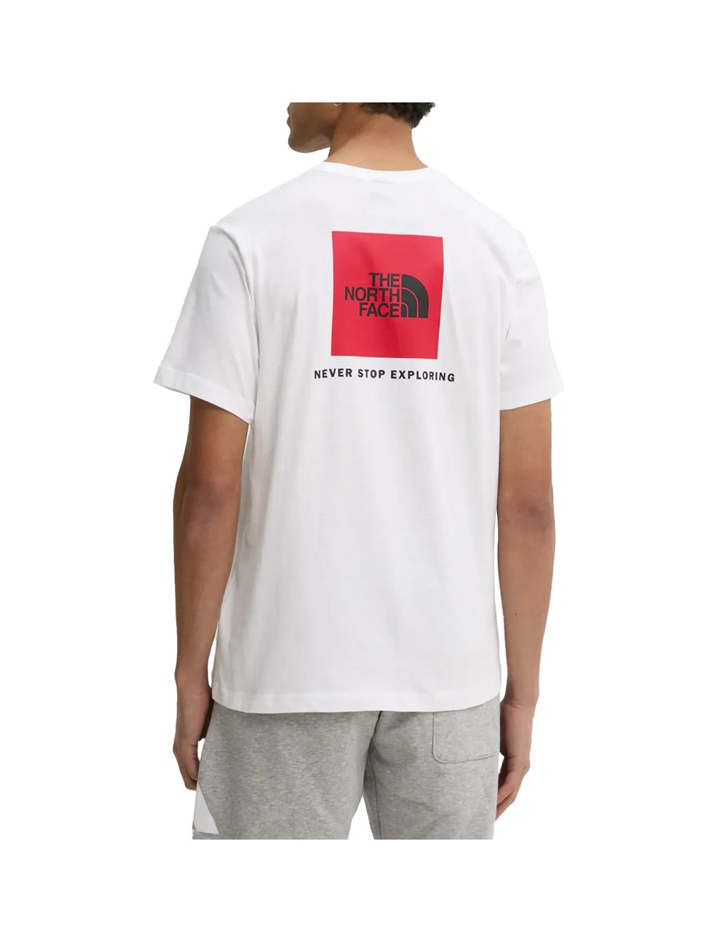 THE NORTH FACE The North Face T-Shirt Uomo Bianco Bianco