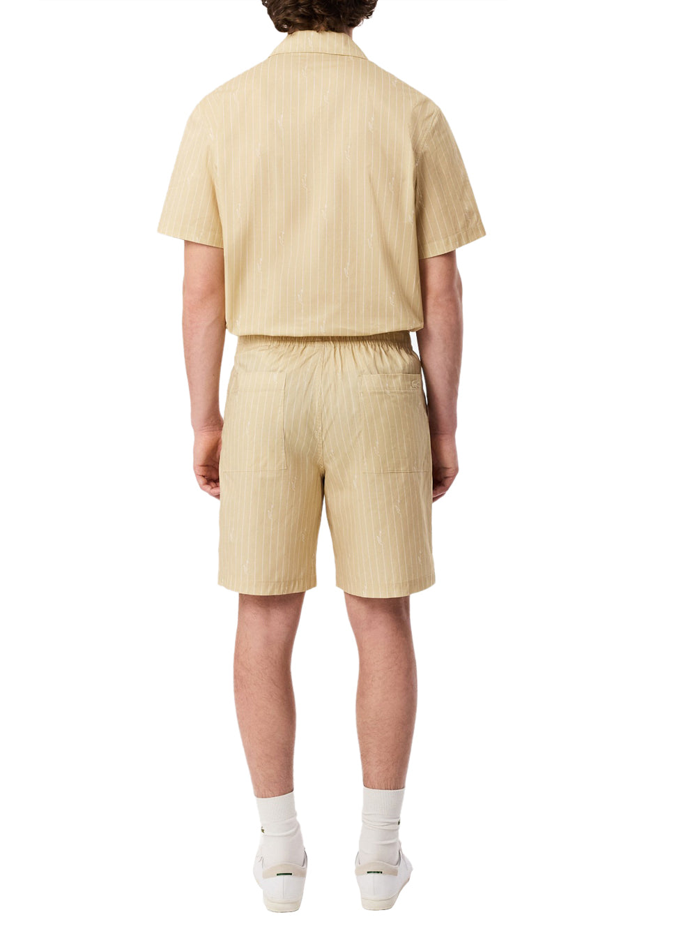 LACOSTE Lacoste Shorts In Cotone A Righe Stampa Coccodrillo - Beige Beige