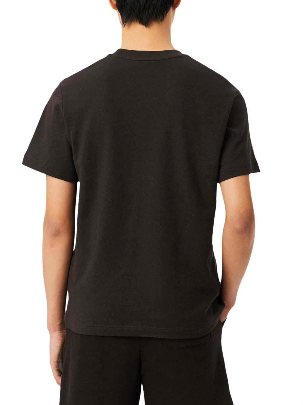 LACOSTE Lacoste T-shirt In Jersey Testurizzata - Marrone Marrone