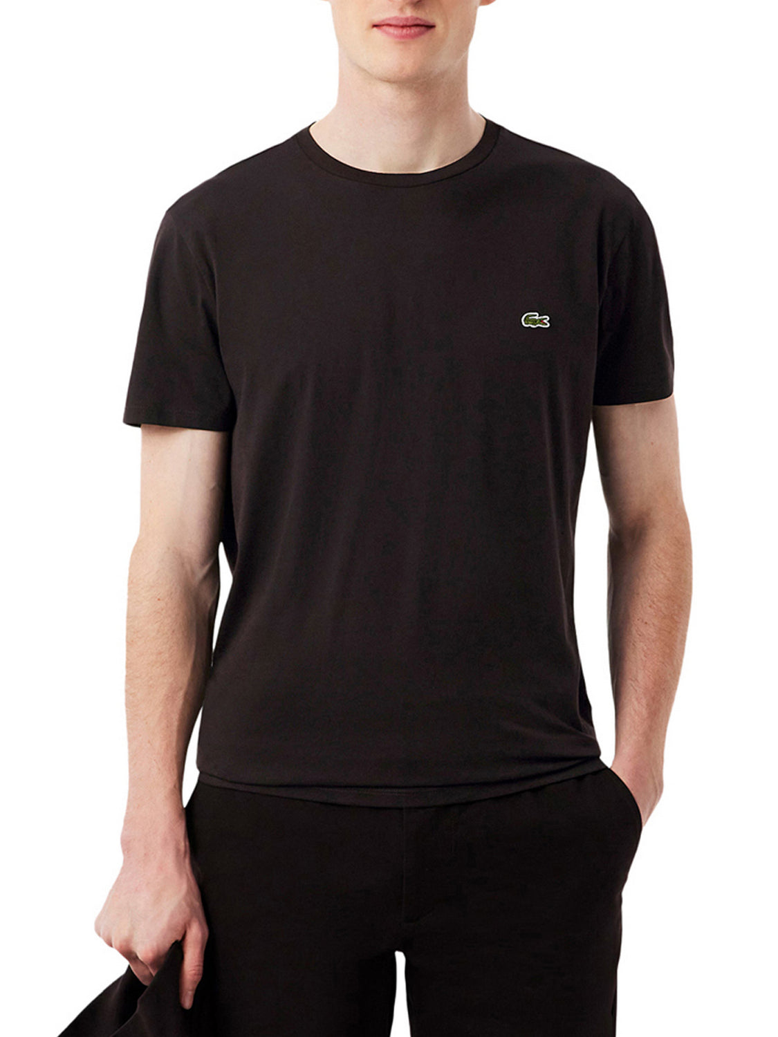LACOSTE T-shirt Lacoste In Cotone Pima - Marrone Marrone