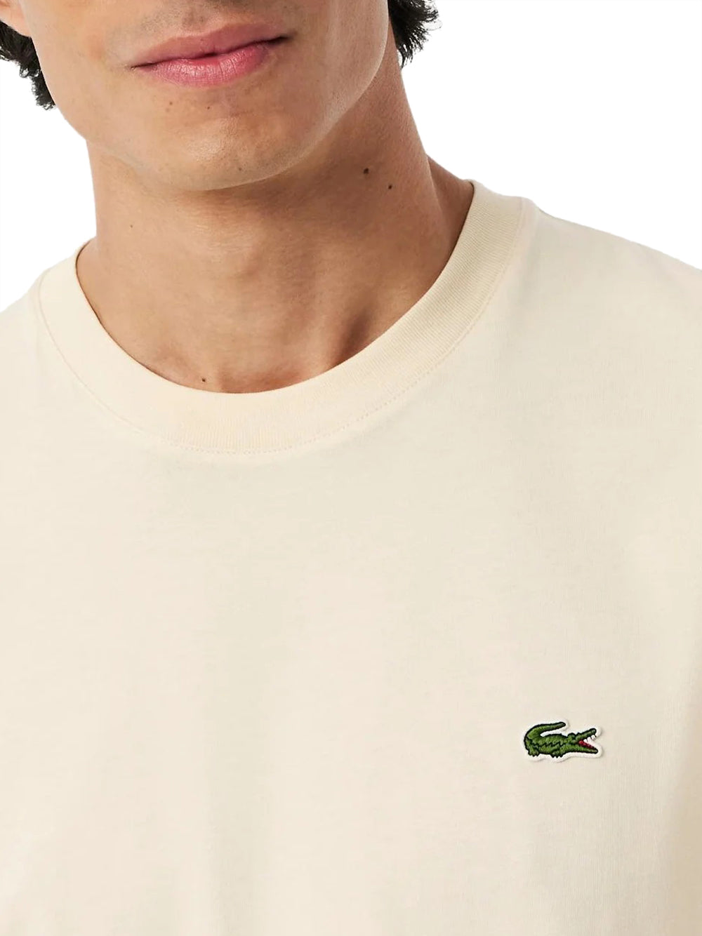 LACOSTE T-Shirt Lacoste In Cotone - Beige Beige