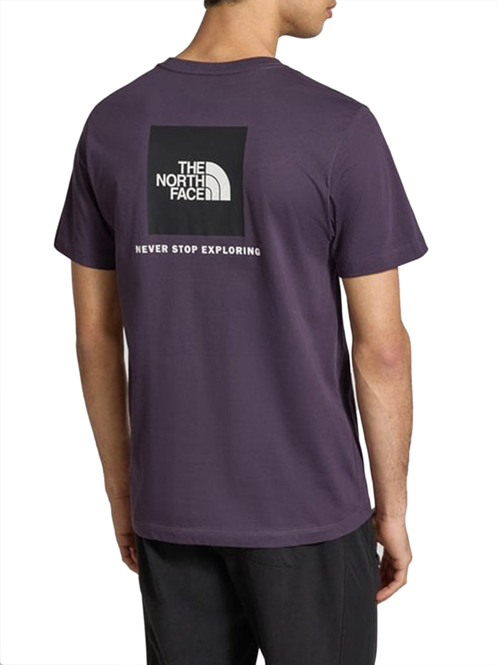 THE NORTH FACE T-Shirt Evolution NSE Box Regular The North Face - Viola Viola