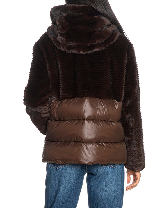 BLAUER Piumino Fanevil Blauer - Marrone Brown 30B