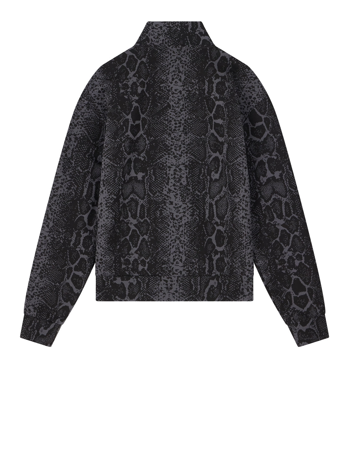 EA7 Felpa Graphic In Jersey Di Cotone EA7 - Fancy Asphalt Fancy Asphalt