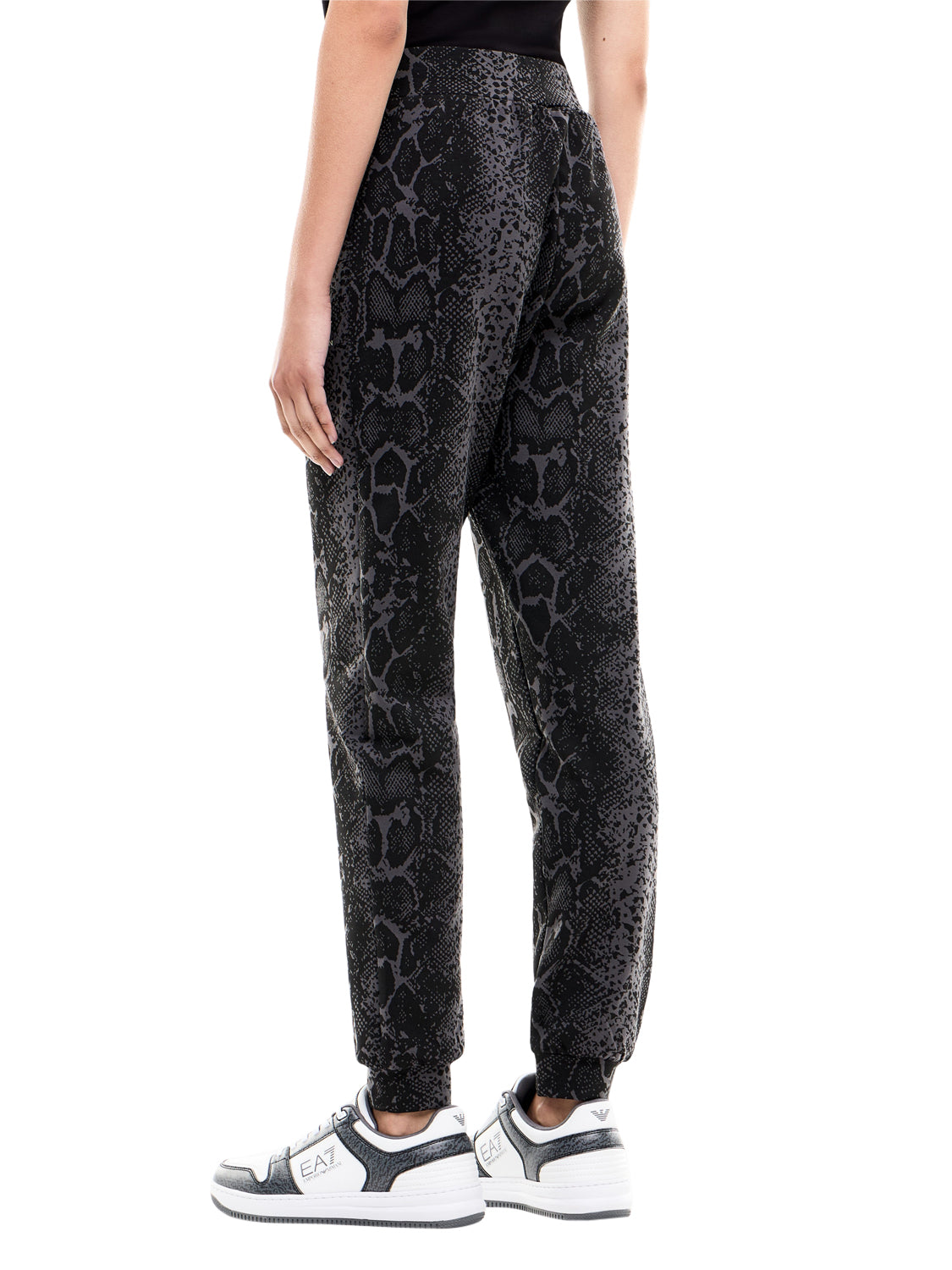 EA7 Pantaloni Graphic Series Regular In Jersey Di Cotone EA7 - Fancy Asphalt Fancy Asphalt