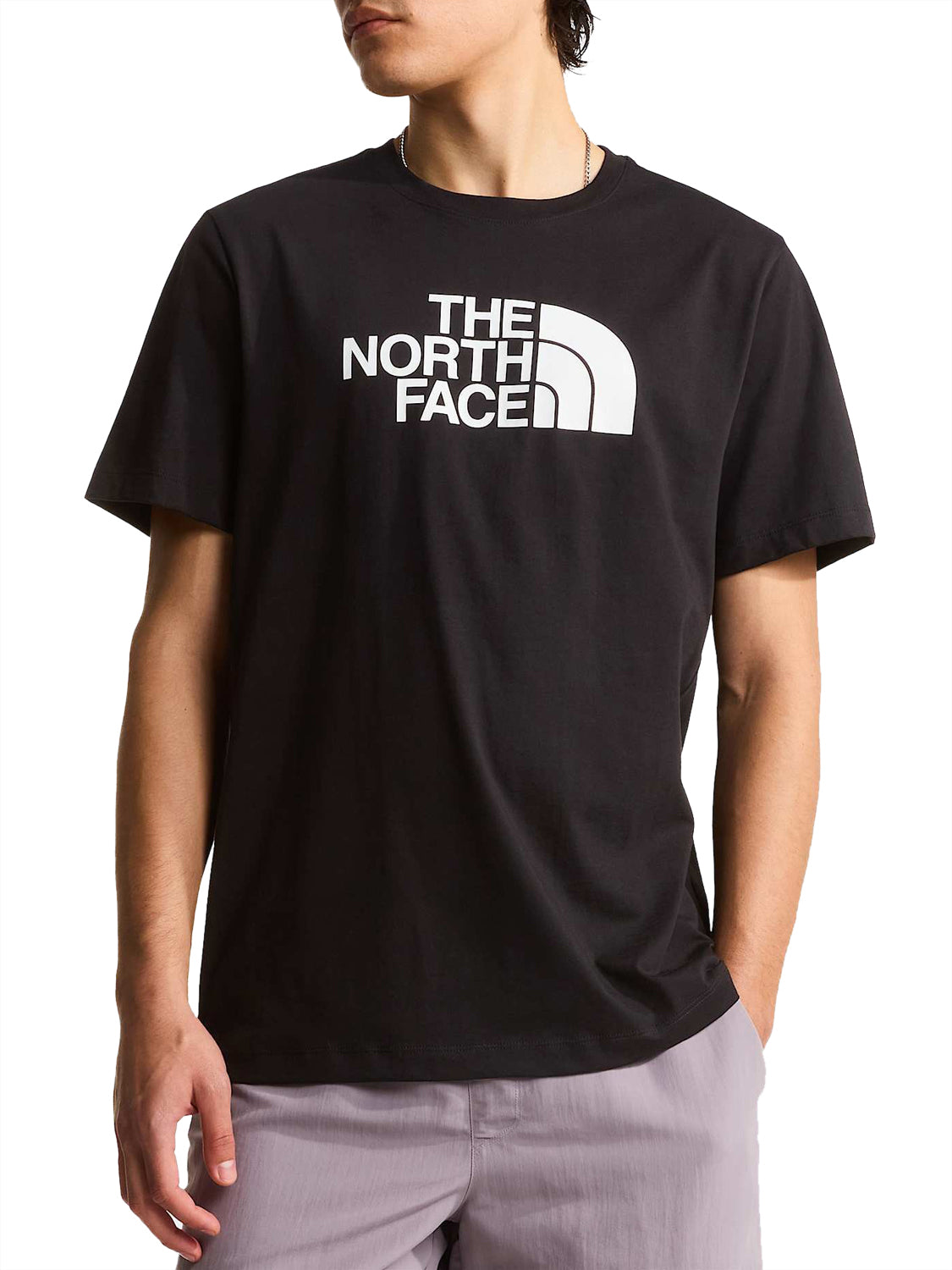 THE NORTH FACE T-shirt Evolution Half Dome Regular Nero Nero/bianco