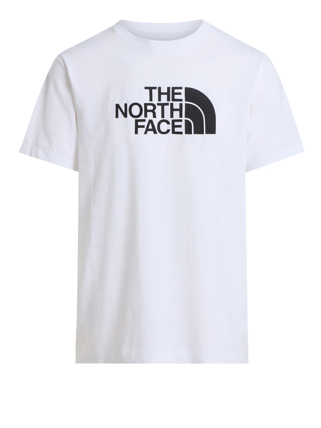 THE NORTH FACE T-shirt Evolution Half Dome Regular Bianco Bianco