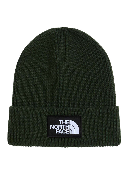 THE NORTH FACE The North Face Berretto con risvolto e logo box TNF Verde Verde