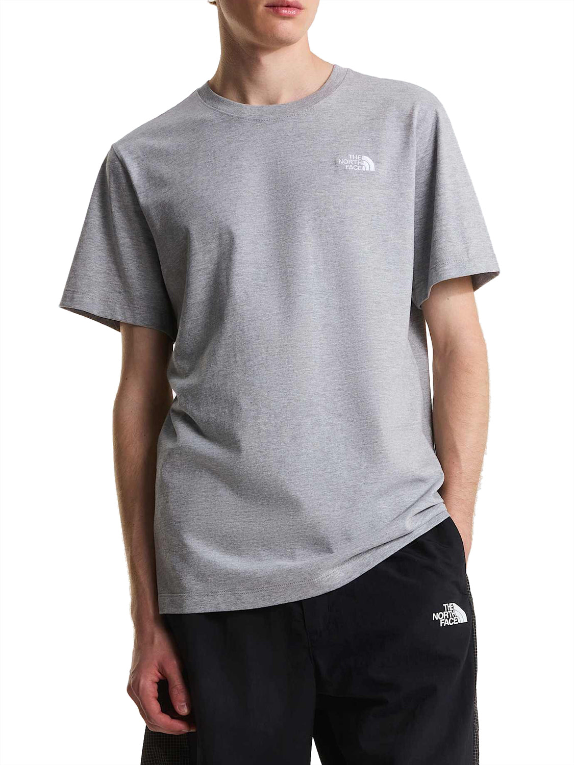 THE NORTH FACE T-shirt Evolution Simple Dome Regular Grigio Grigio