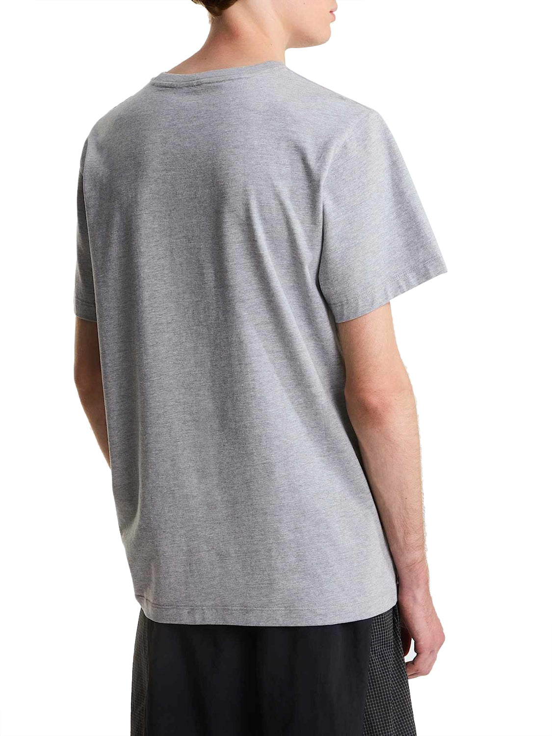 THE NORTH FACE T-shirt Evolution Simple Dome Regular Grigio Grigio