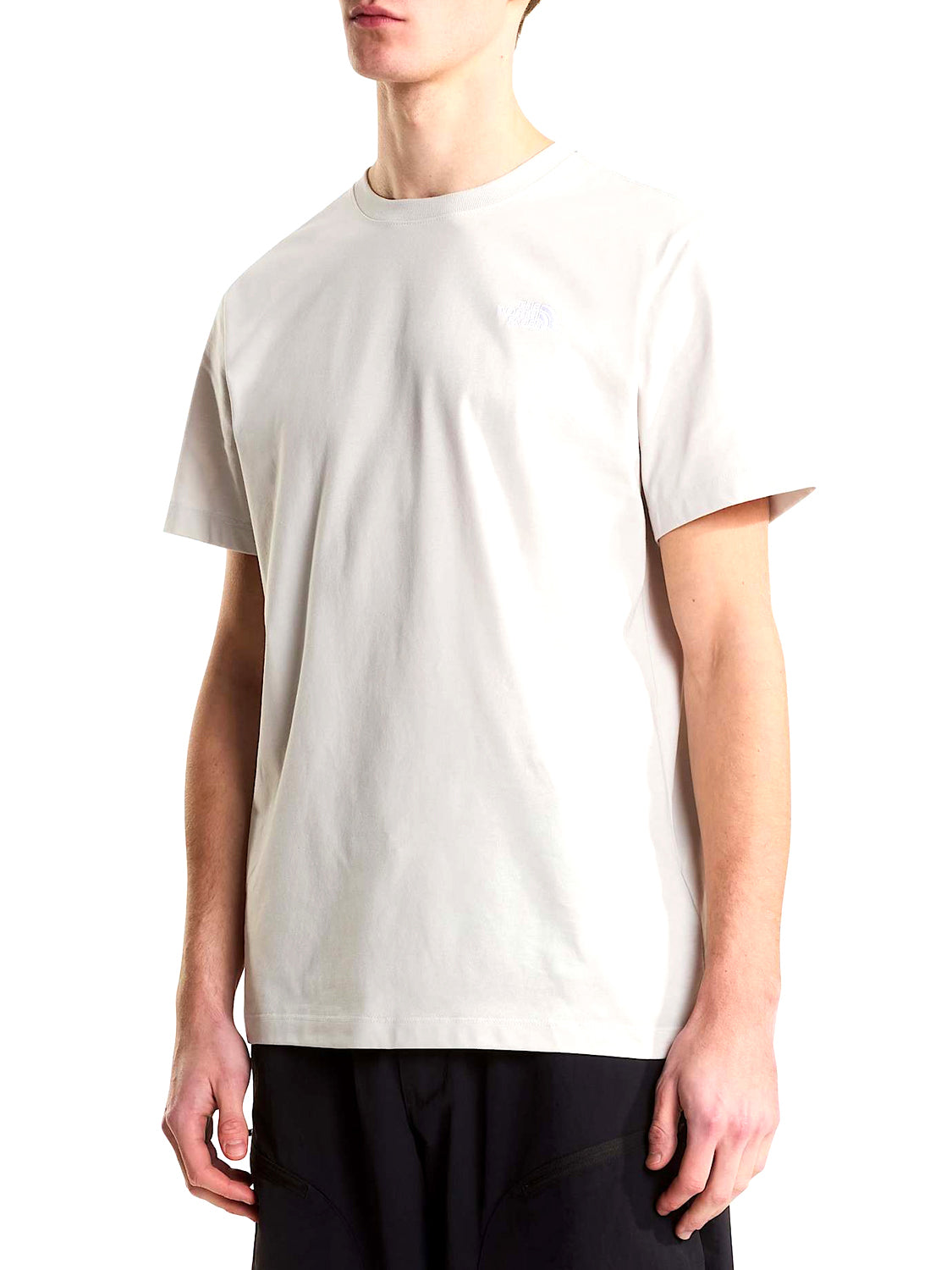 THE NORTH FACE T-shirt Evolution Simple Dome Regular Beige Beige