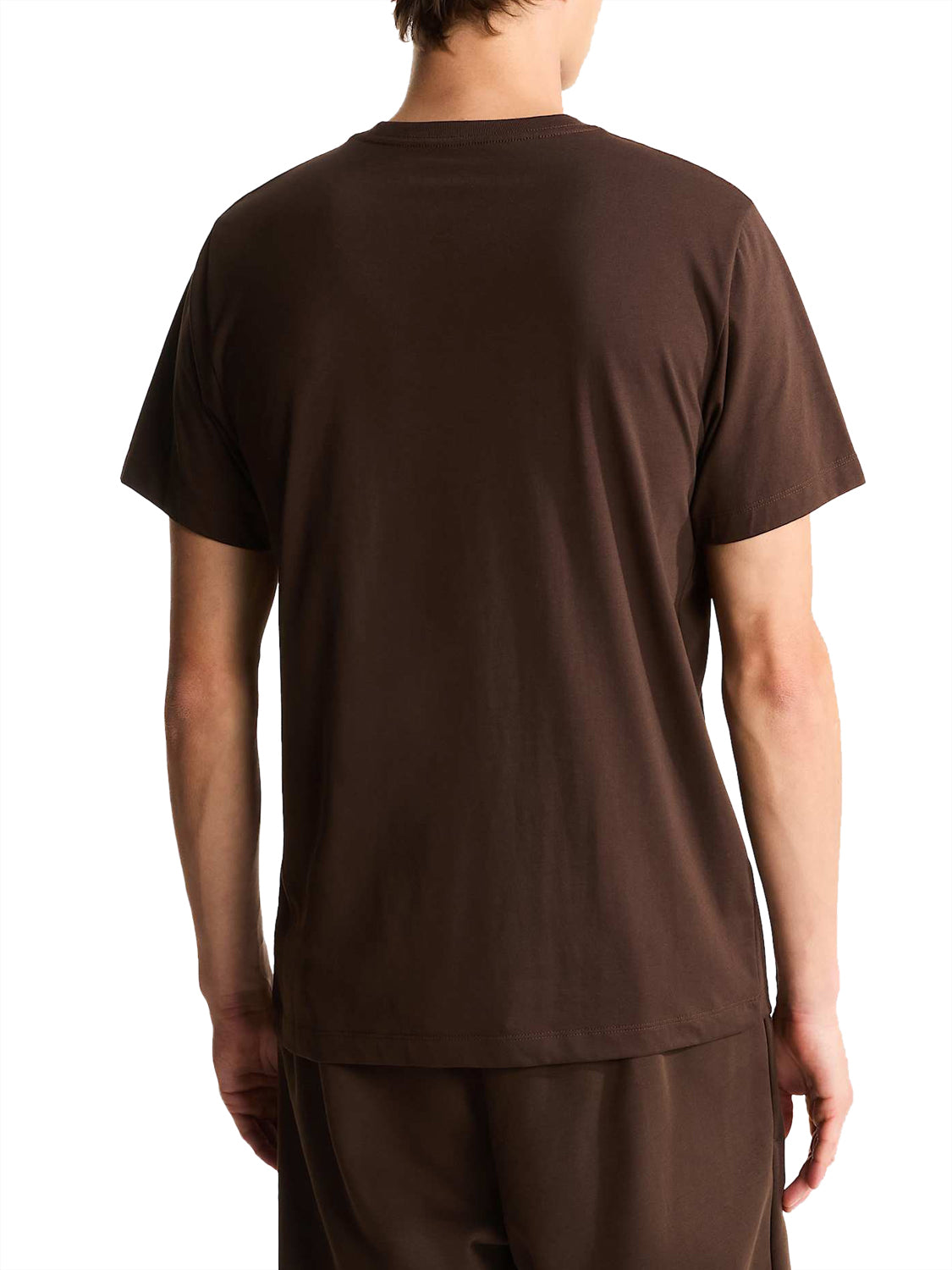 THE NORTH FACE T-shirt Evolution Simple Dome Regular Marrone Marrone
