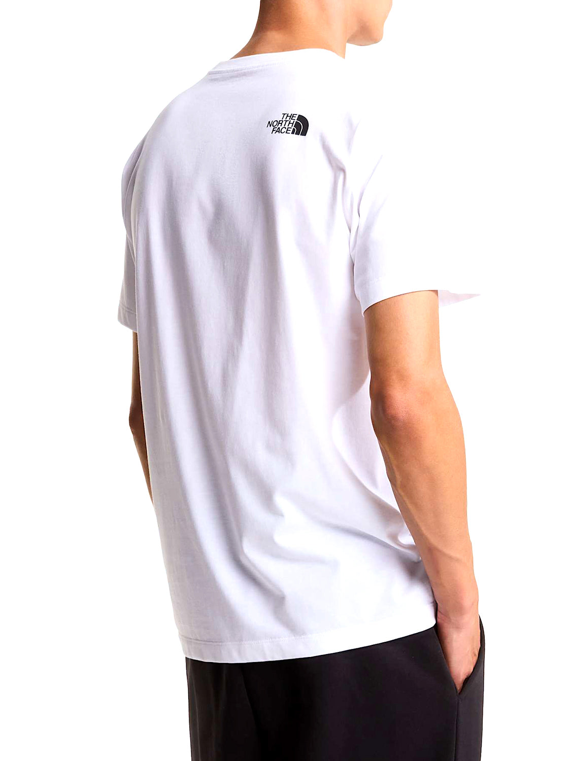 THE NORTH FACE T-shirt Evolution Box Half Dome Regular Bianco Bianco
