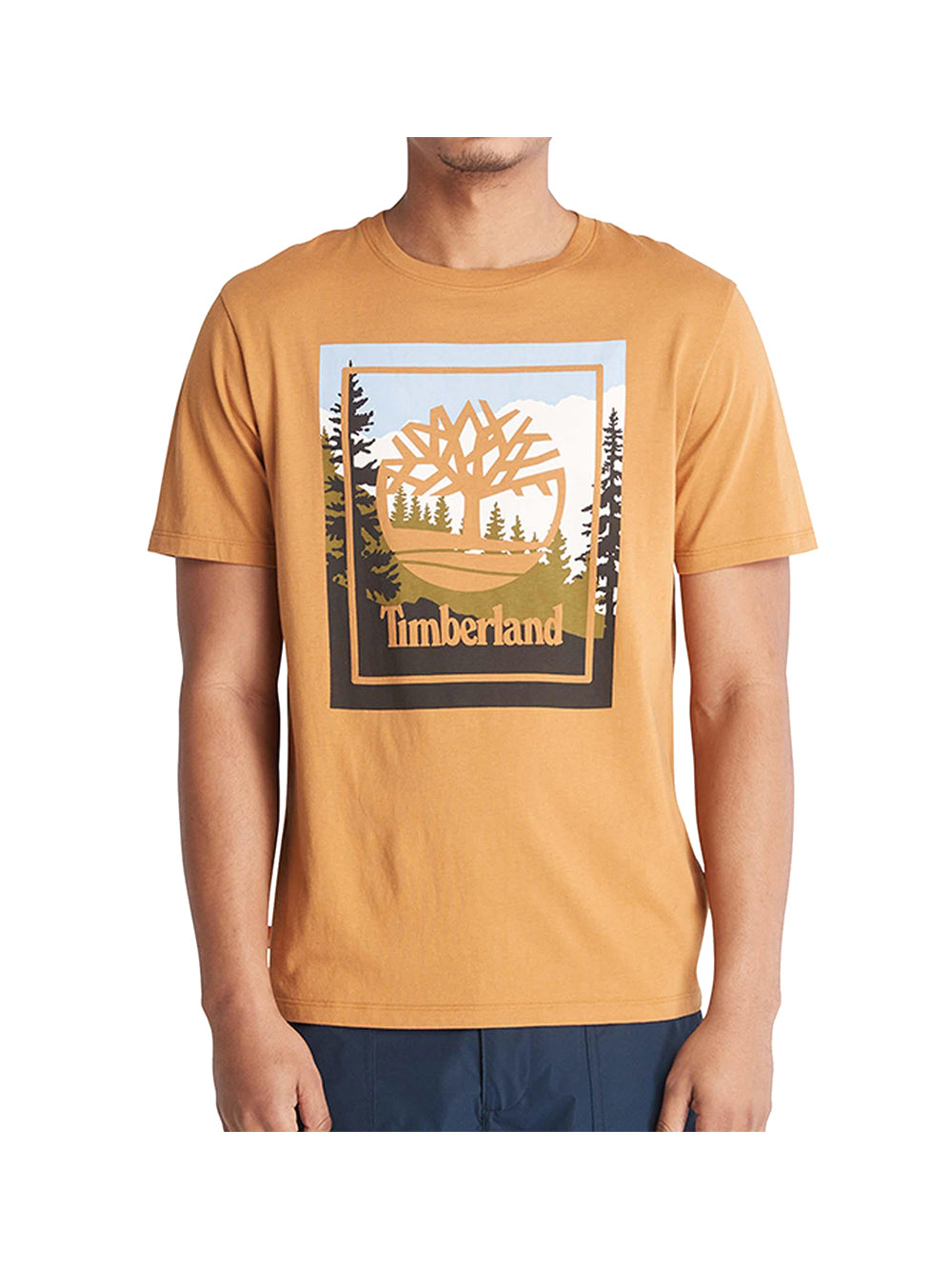 TIMBERLAND T-shirt Uomo Marrone con maxi stampa frontale WHEAT